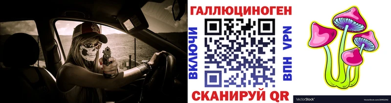 мега сайт  Мостовской  Галлюциногенные грибы Psilocybine cubensis 